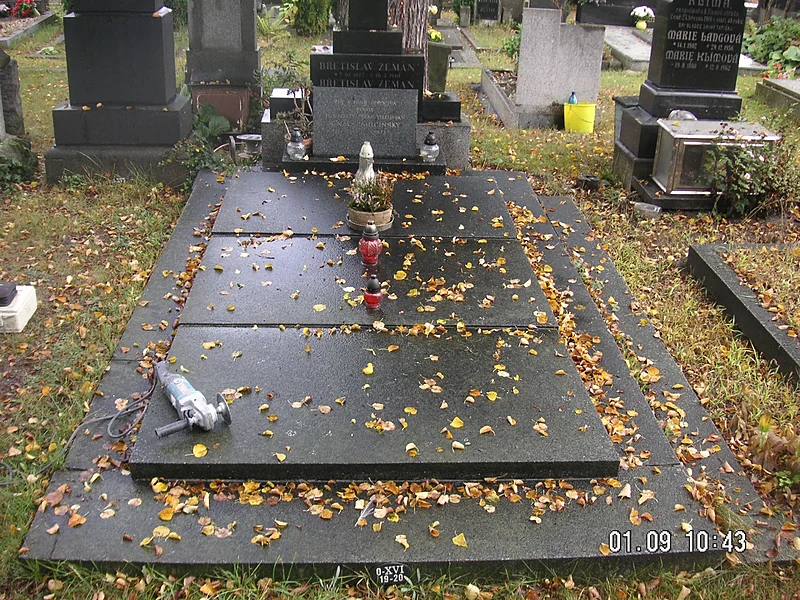 Průběh rekonstrukce